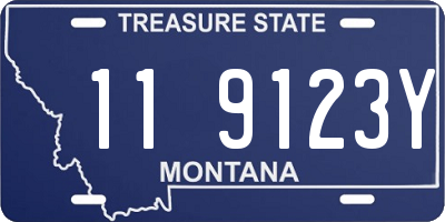 MT license plate 119123Y