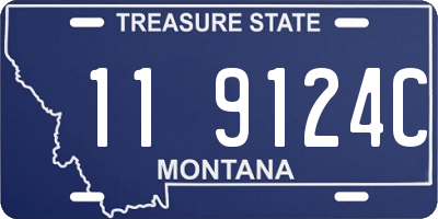 MT license plate 119124C