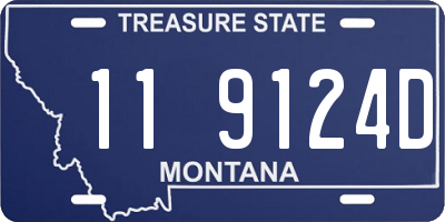 MT license plate 119124D