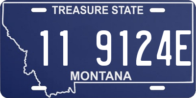 MT license plate 119124E