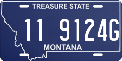MT license plate 119124G