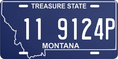 MT license plate 119124P