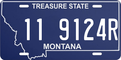MT license plate 119124R