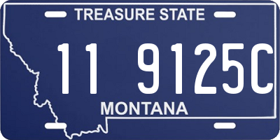 MT license plate 119125C