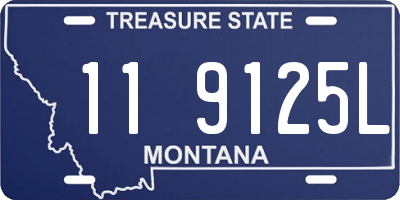 MT license plate 119125L