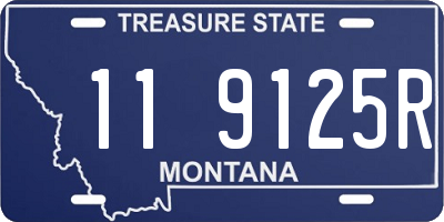 MT license plate 119125R