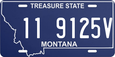 MT license plate 119125V