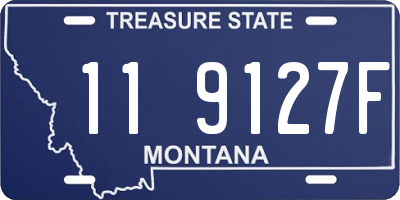 MT license plate 119127F