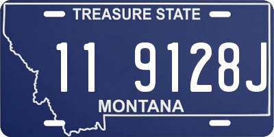 MT license plate 119128J