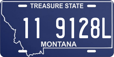 MT license plate 119128L