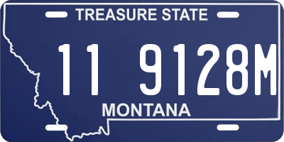MT license plate 119128M