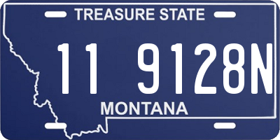 MT license plate 119128N