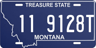 MT license plate 119128T