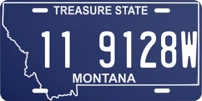 MT license plate 119128W