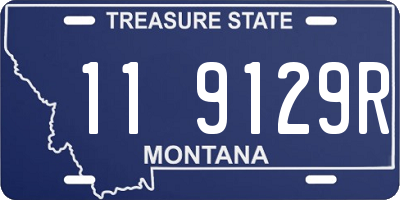 MT license plate 119129R
