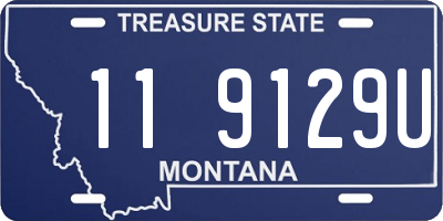 MT license plate 119129U