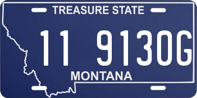 MT license plate 119130G