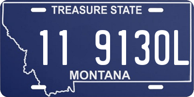 MT license plate 119130L