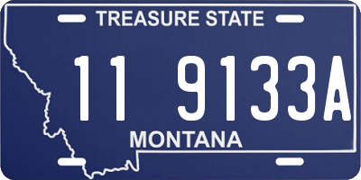 MT license plate 119133A