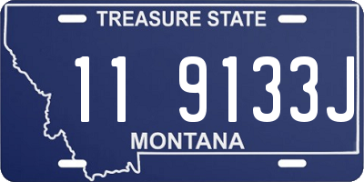 MT license plate 119133J