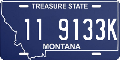 MT license plate 119133K