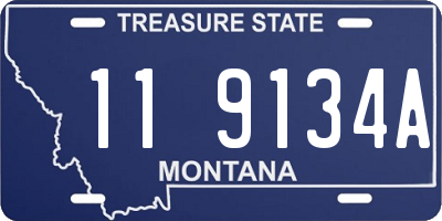 MT license plate 119134A