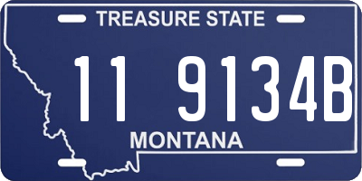 MT license plate 119134B