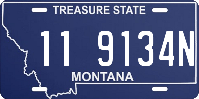 MT license plate 119134N