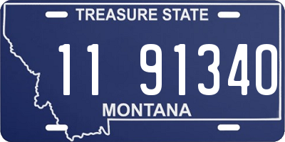 MT license plate 119134O