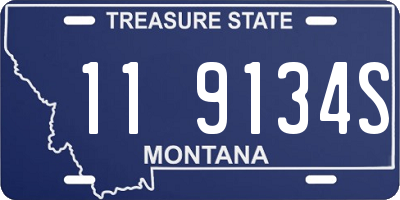 MT license plate 119134S