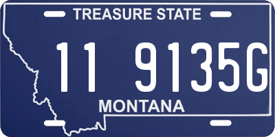 MT license plate 119135G