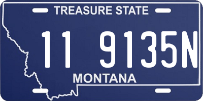 MT license plate 119135N
