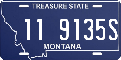 MT license plate 119135S