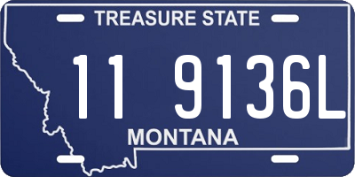 MT license plate 119136L