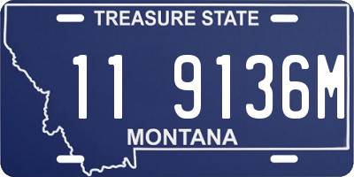 MT license plate 119136M