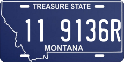 MT license plate 119136R