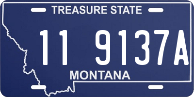 MT license plate 119137A