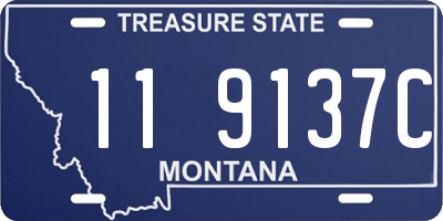 MT license plate 119137C