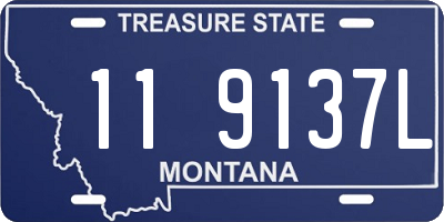 MT license plate 119137L
