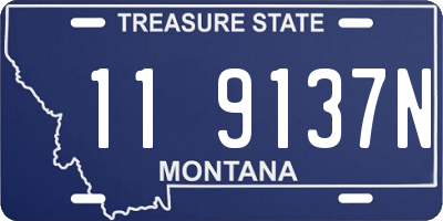 MT license plate 119137N