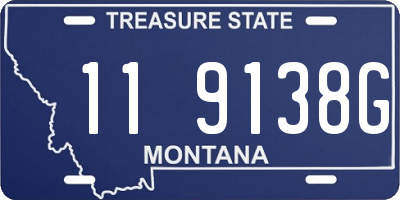 MT license plate 119138G