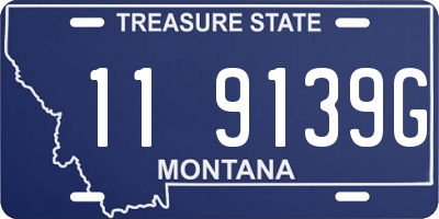 MT license plate 119139G