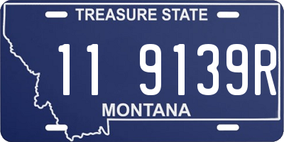 MT license plate 119139R