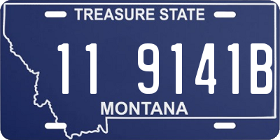 MT license plate 119141B