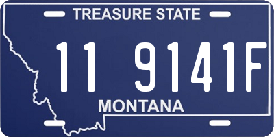 MT license plate 119141F