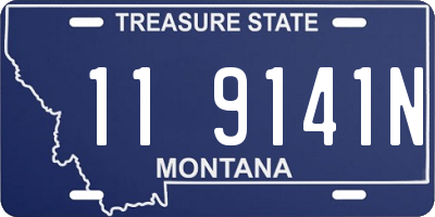 MT license plate 119141N