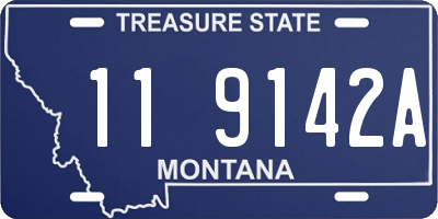 MT license plate 119142A
