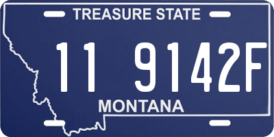 MT license plate 119142F