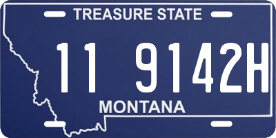 MT license plate 119142H