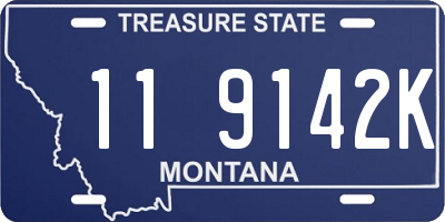 MT license plate 119142K